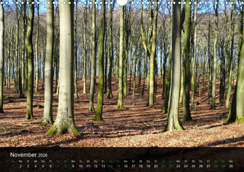 buchenblatt.art Kalender 2026