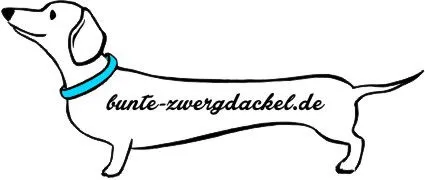 Bunte Zwergdackel