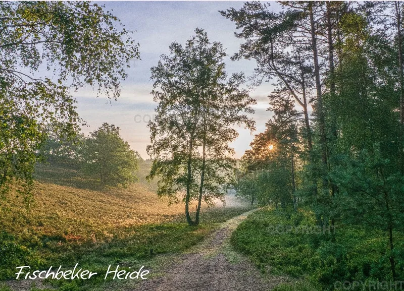 Fischbeker Heide