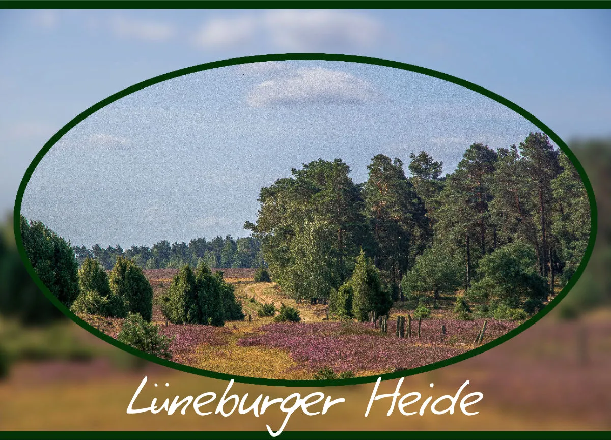 Lüneburger Heide