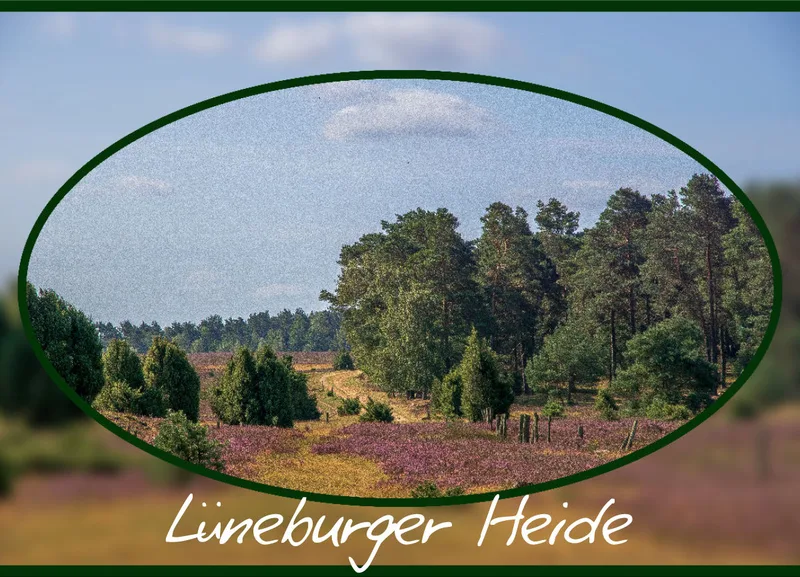 Lüneburger Heide