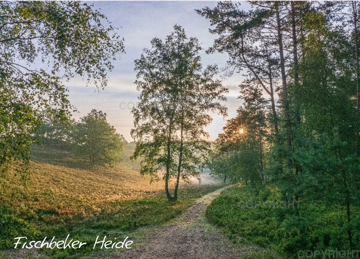 Fischbeker Heide