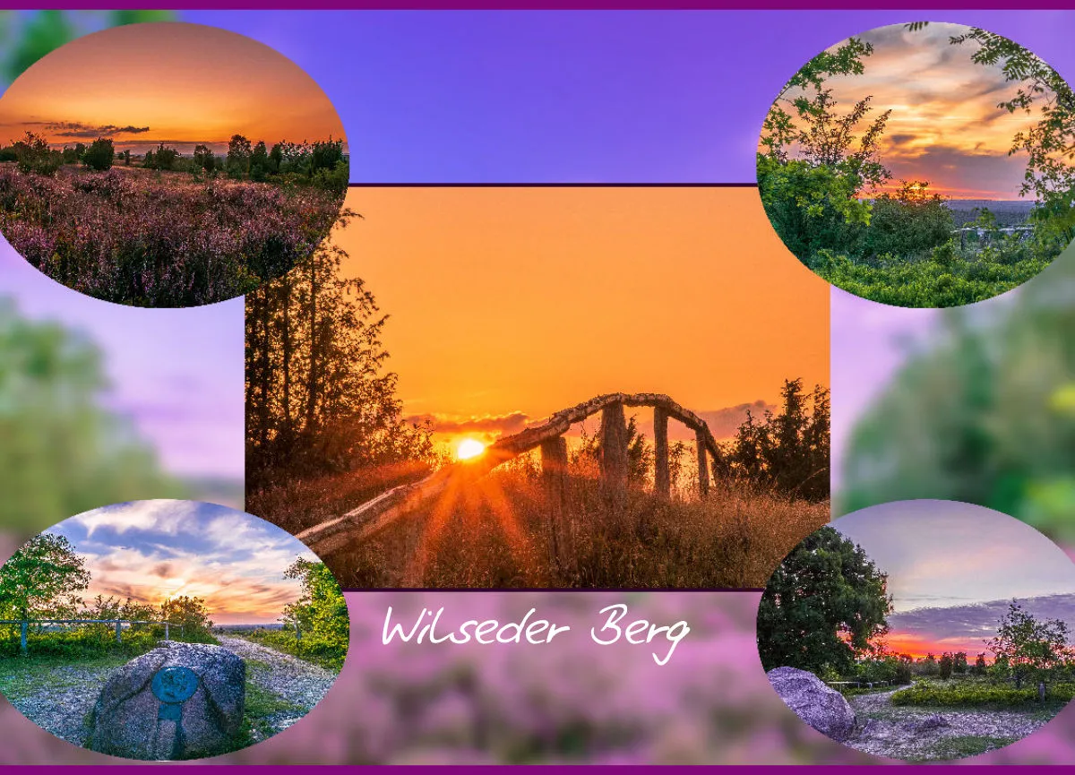 Wilseder Berg