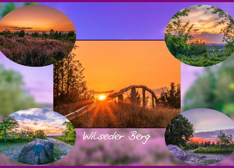 Wilseder Berg