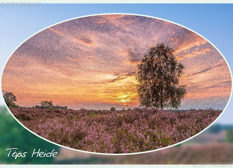 Töps Heide II