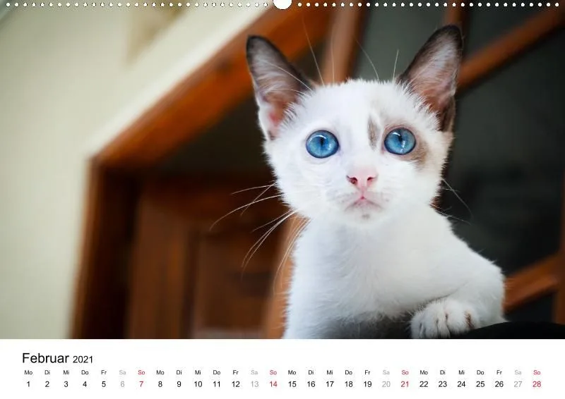 12 Leben