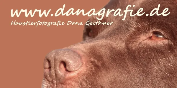 Danagrafie