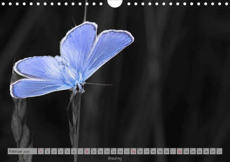 Colorkey