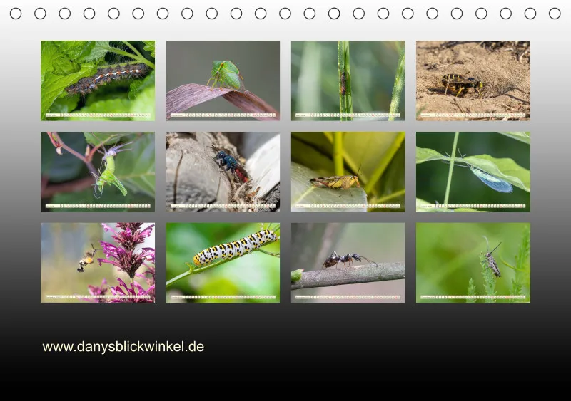 Insekten