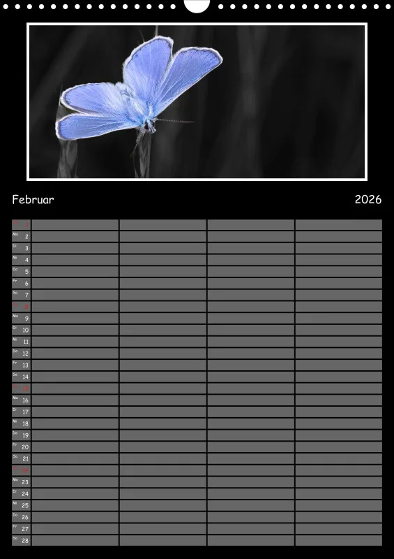 Colorkey Familienplaner