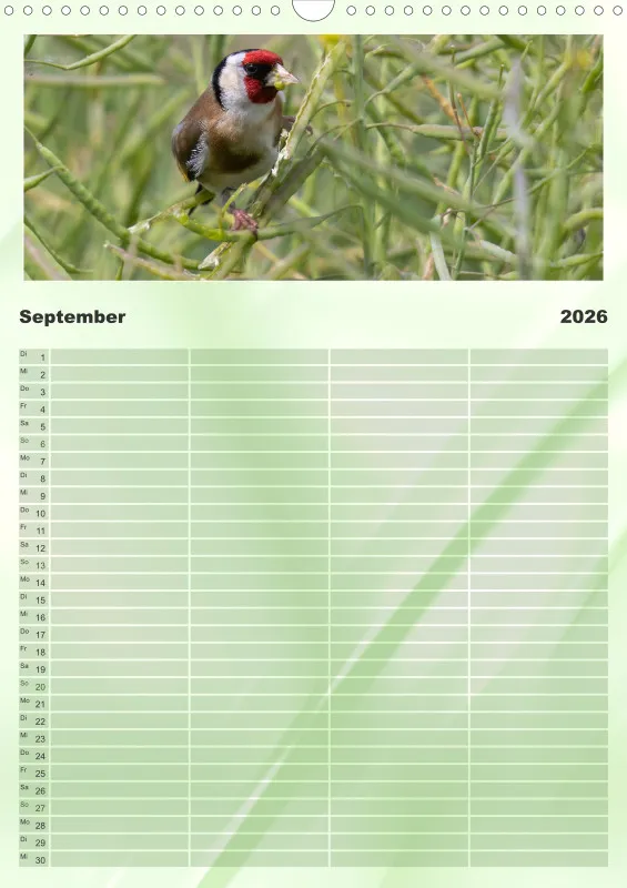 Vögel I Familienplaner