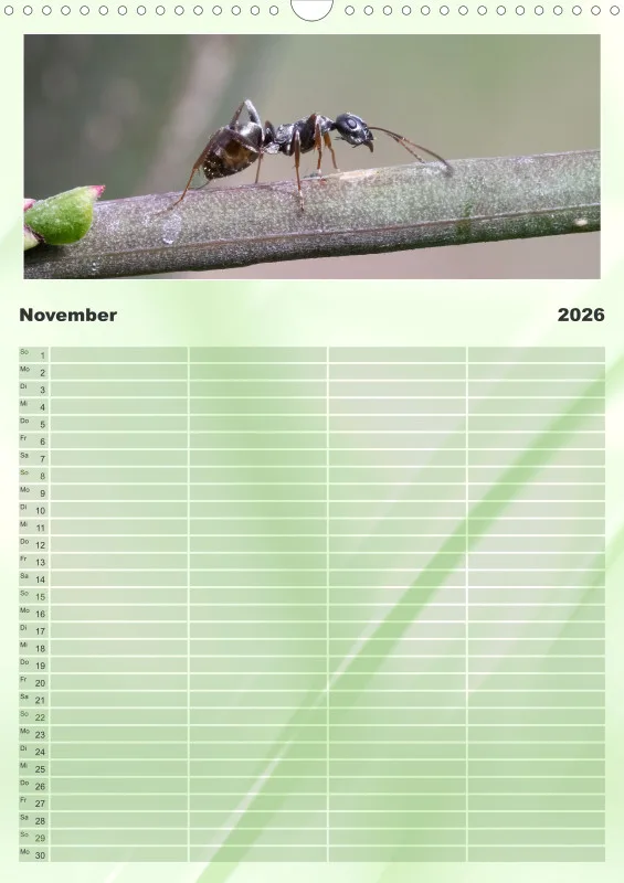 Insekten Familienplaner