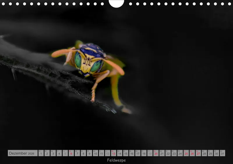 Colorkey