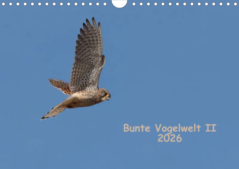 Vögel II