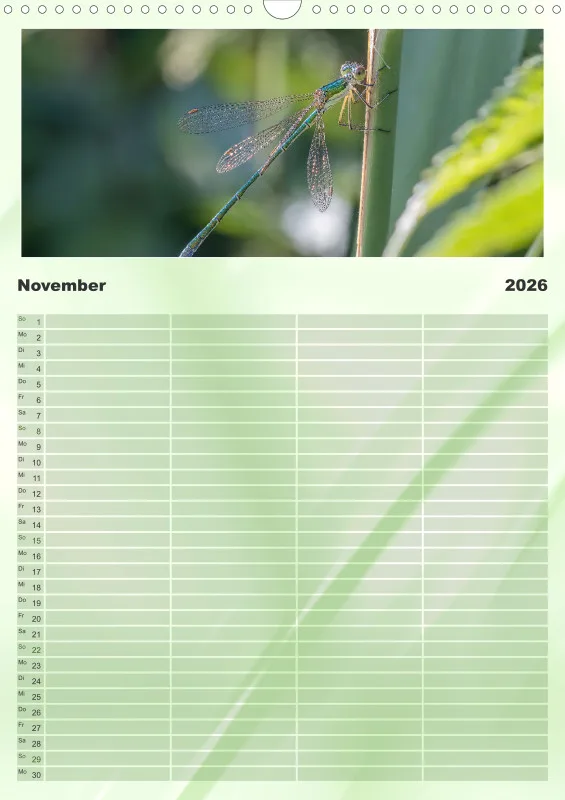 Libellen Familienplaner