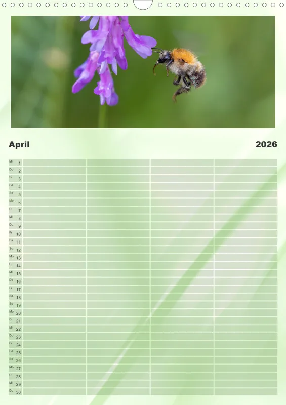 Bienen/Hummeln Familienplaner