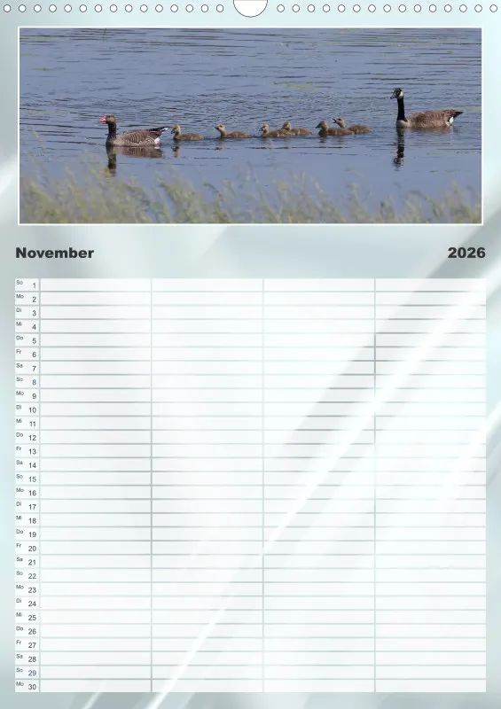 Vögel am Wasser Familienplaner