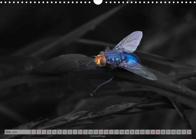 Colorkey
