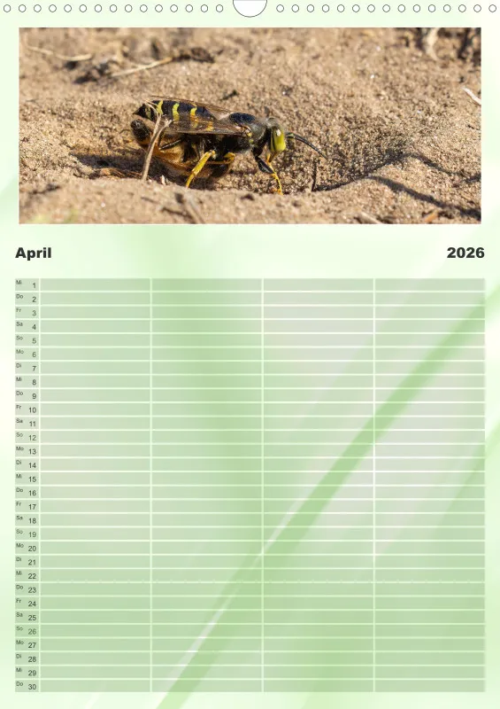 Insekten Familienplaner