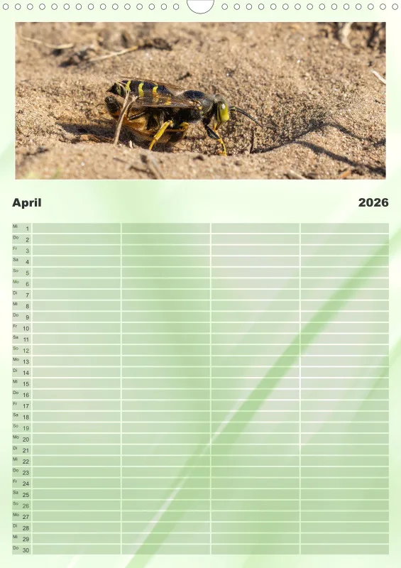 Insekten Familienplaner