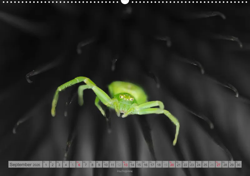 Colorkey