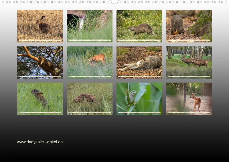 Wildtiere