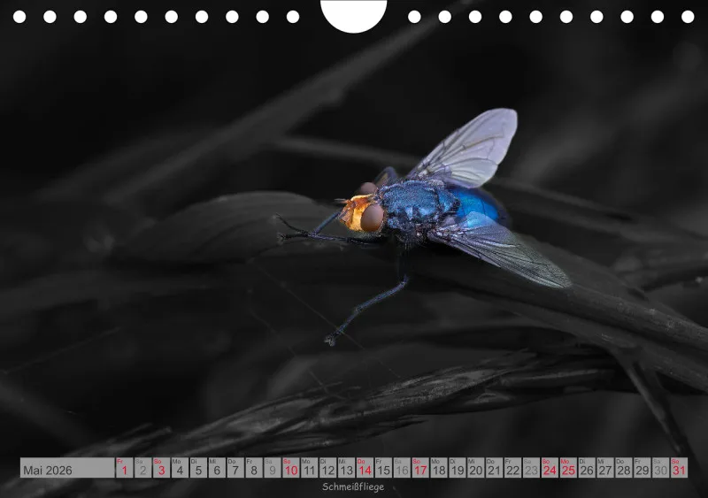 Colorkey
