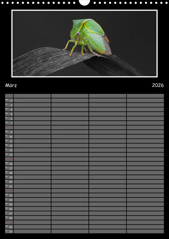 Colorkey Familienplaner