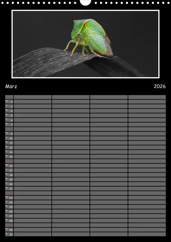 Colorkey Familienplaner