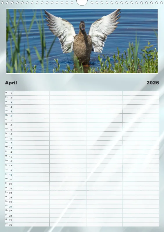 Vögel am Wasser Familienplaner