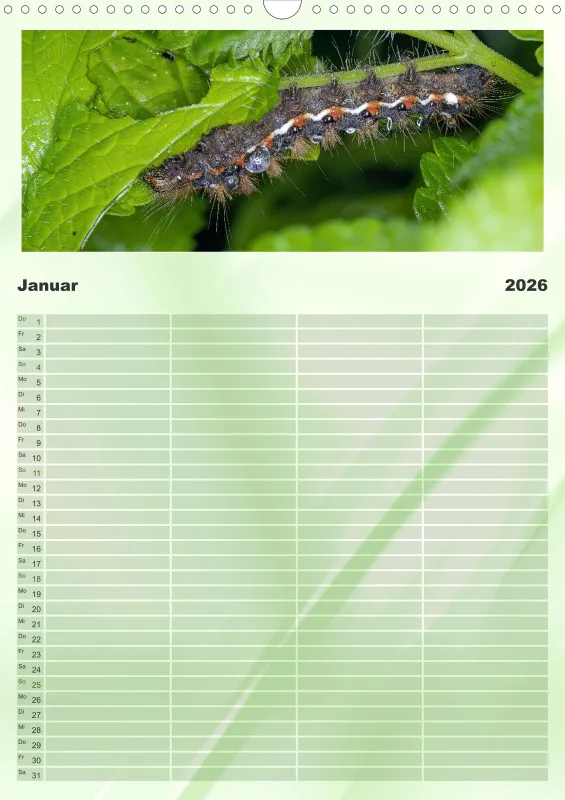 Insekten Familienplaner