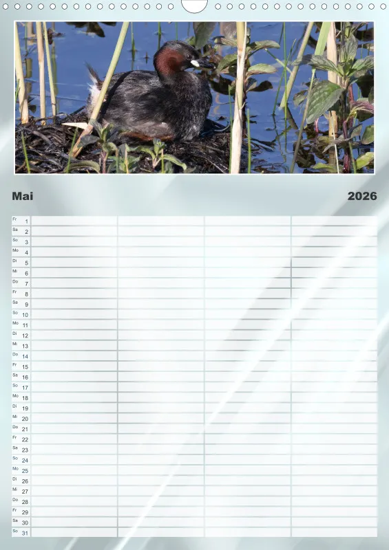 Vögel am Wasser Familienplaner