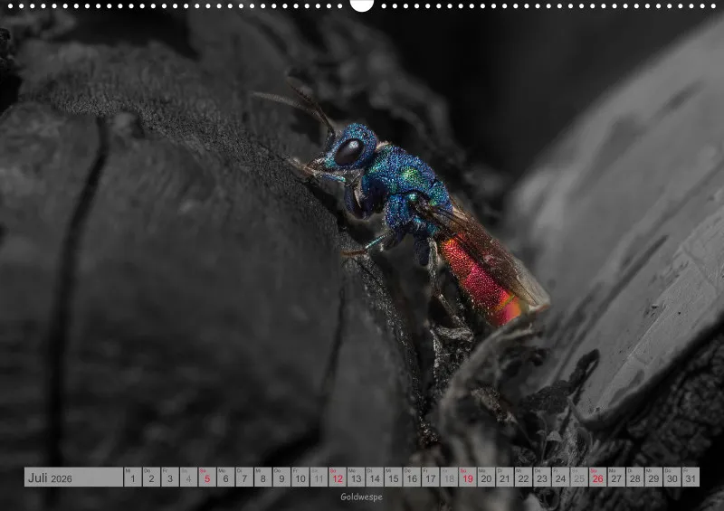 Colorkey