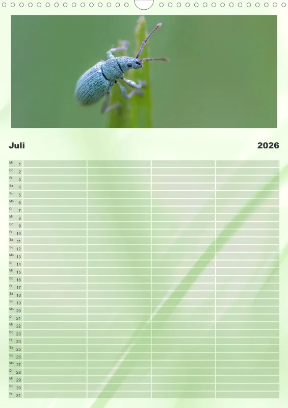 Käfer Familienplaner