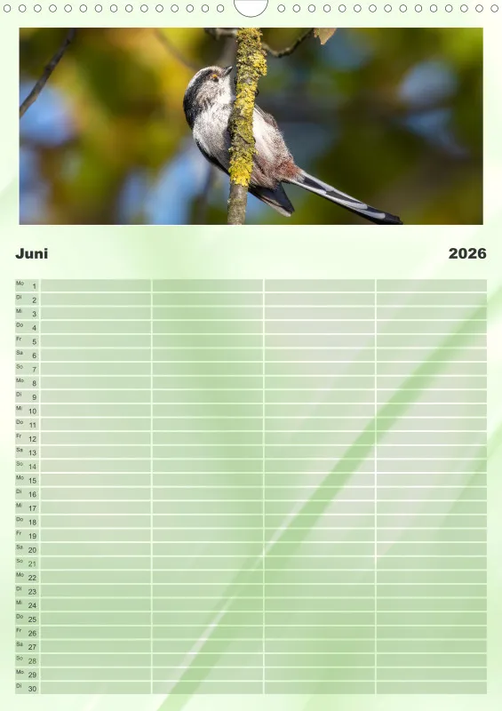 Vögel I Familienplaner