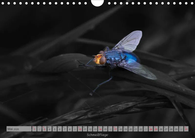 Colorkey