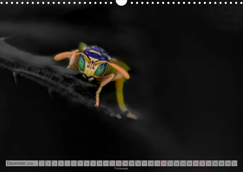 Colorkey