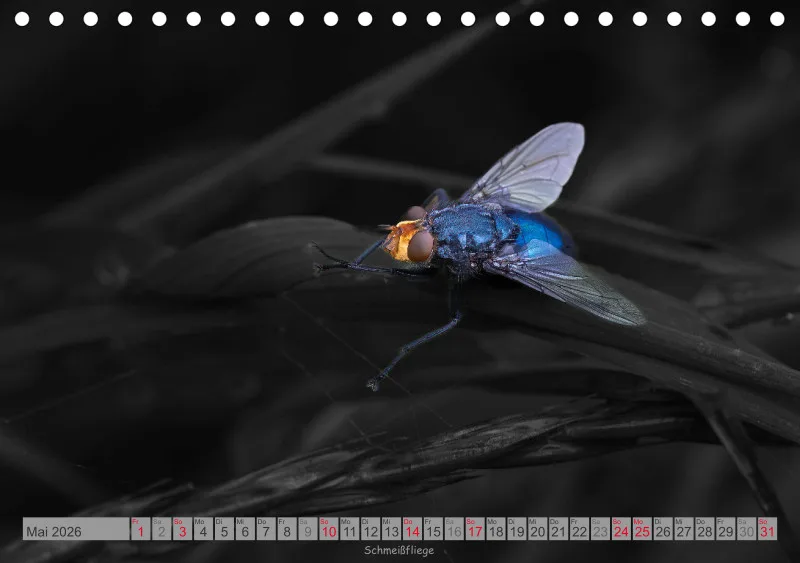 Colorkey