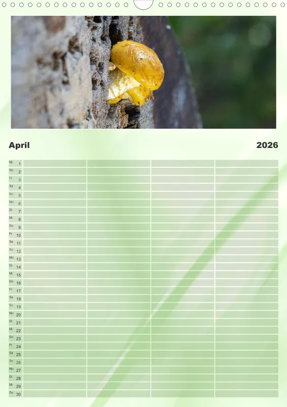 Pilze Familienkalender