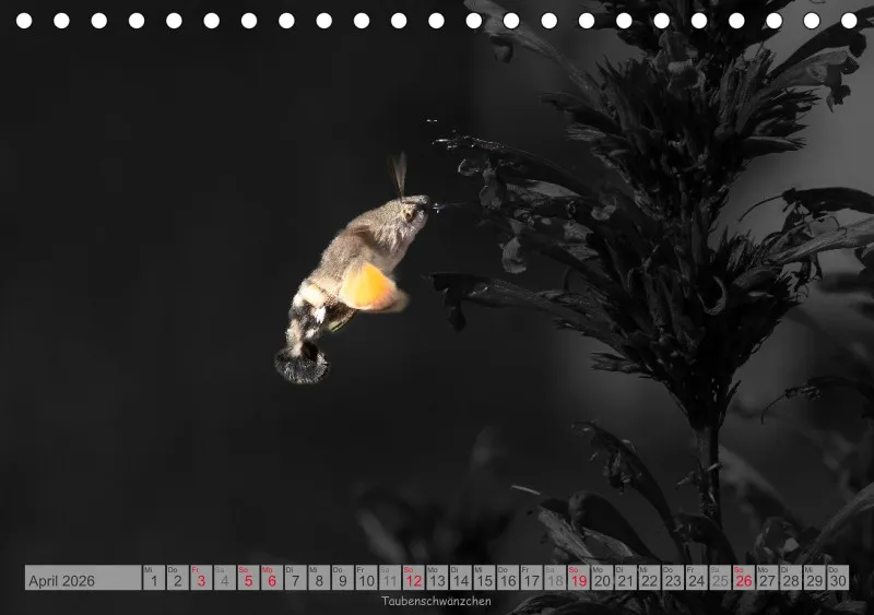 Colorkey