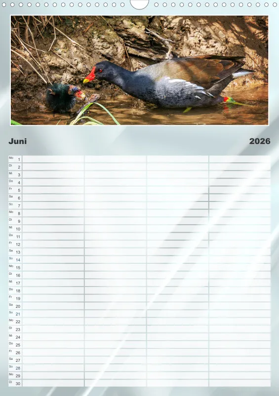 Vögel am Wasser Familienplaner