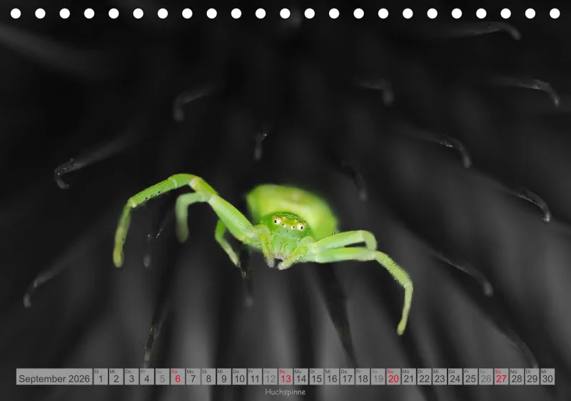 Colorkey