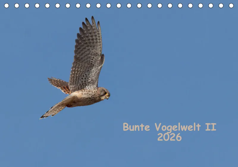 Vögel II