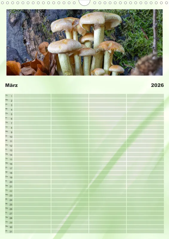 Pilze Familienkalender