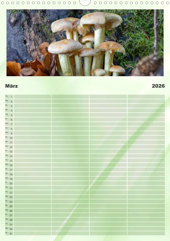 Pilze Familienkalender