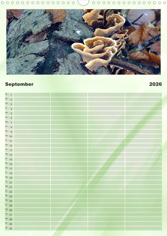 Pilze Familienkalender