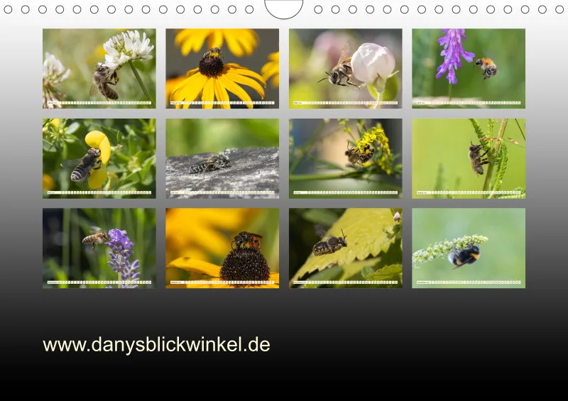 Bienen/Hummeln