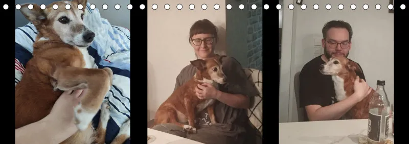 Vögel I Familienplaner