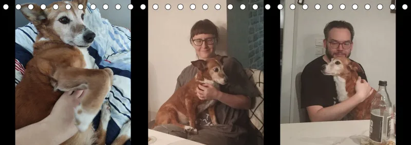 Vögel I Familienplaner