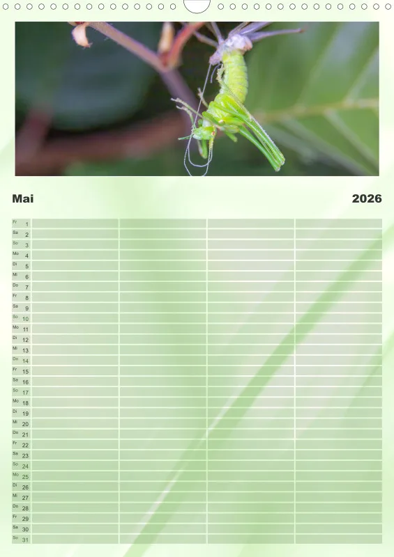 Insekten Familienplaner
